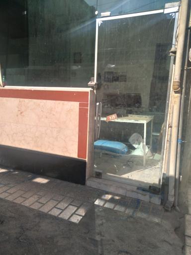 عکس بربری ۳۳۴۷