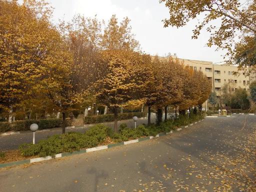 عکس مجتمع نسیم دانش