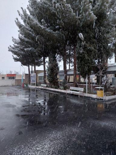 عکس دانشگاه فرهنگیان پردیس شهید باهنر