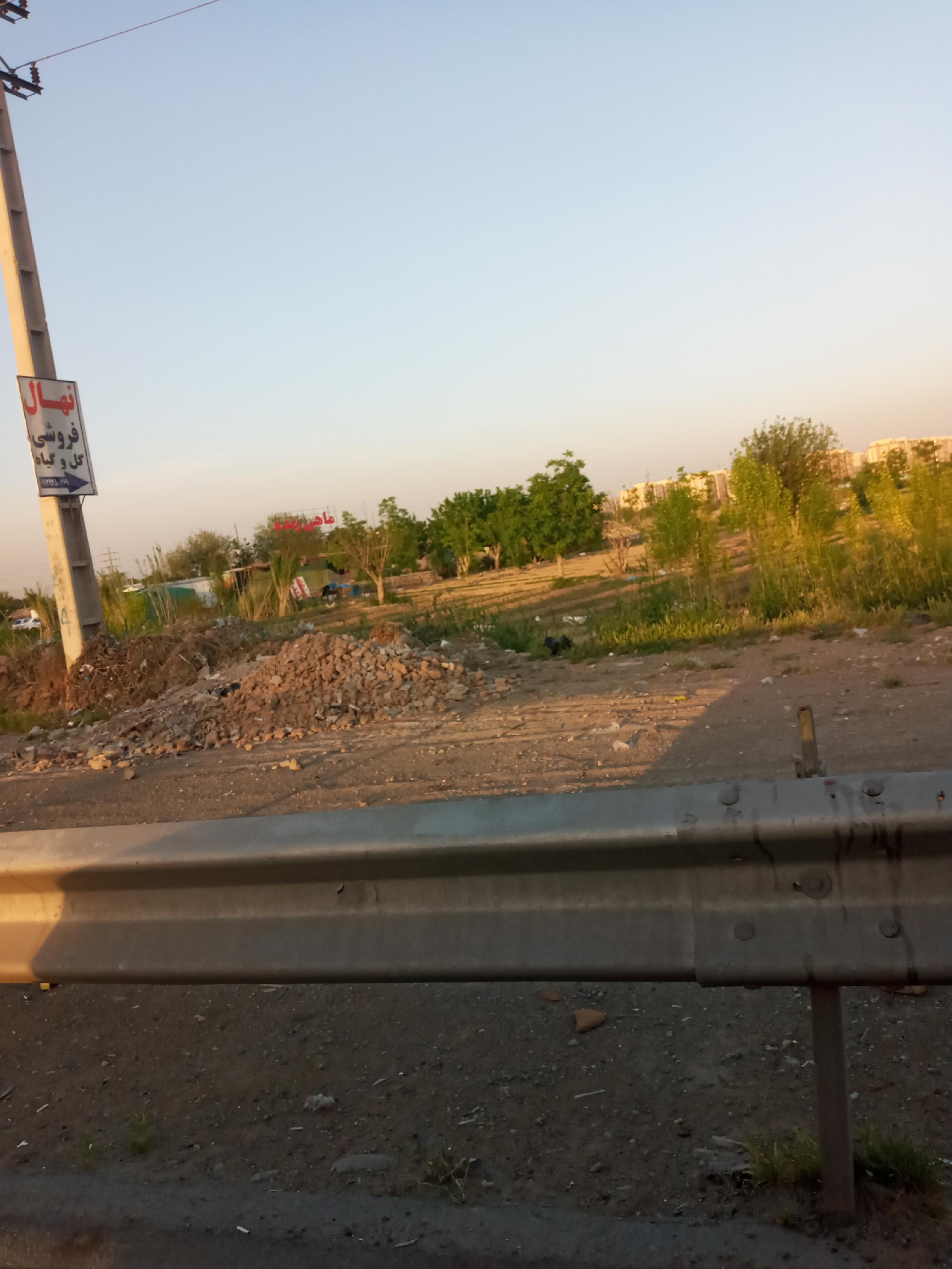 عکس پرورش و فروش ماهی زارعی