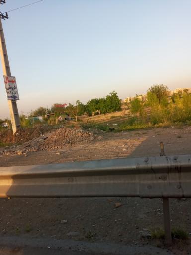 عکس پرورش و فروش ماهی زارعی