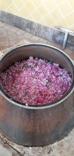 عکس گلاب و عرقیات گیاهی نیک نژاد