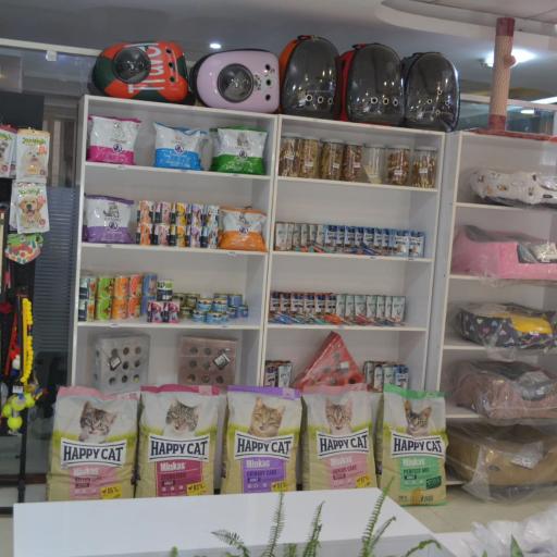 عکس کلینیک دامپزشکی دکتر جولایی 