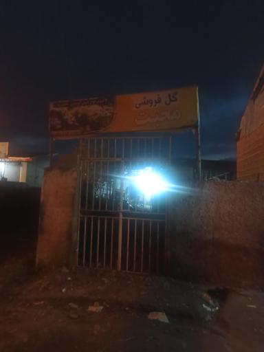 عکس گل فروشی محبت