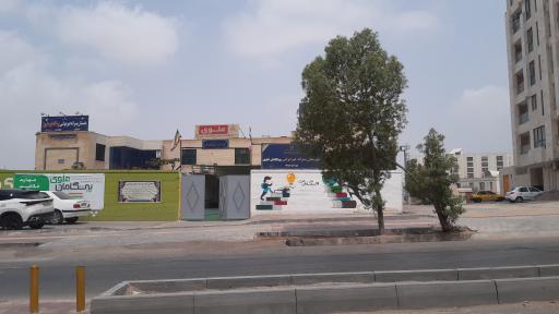 عکس دبیرستان پسرانه غیر دولتی پیشگامان علوی