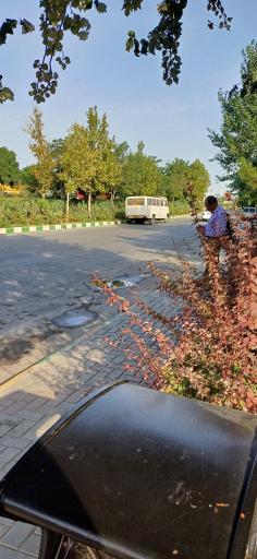 عکس بیمارستان طالقانی 