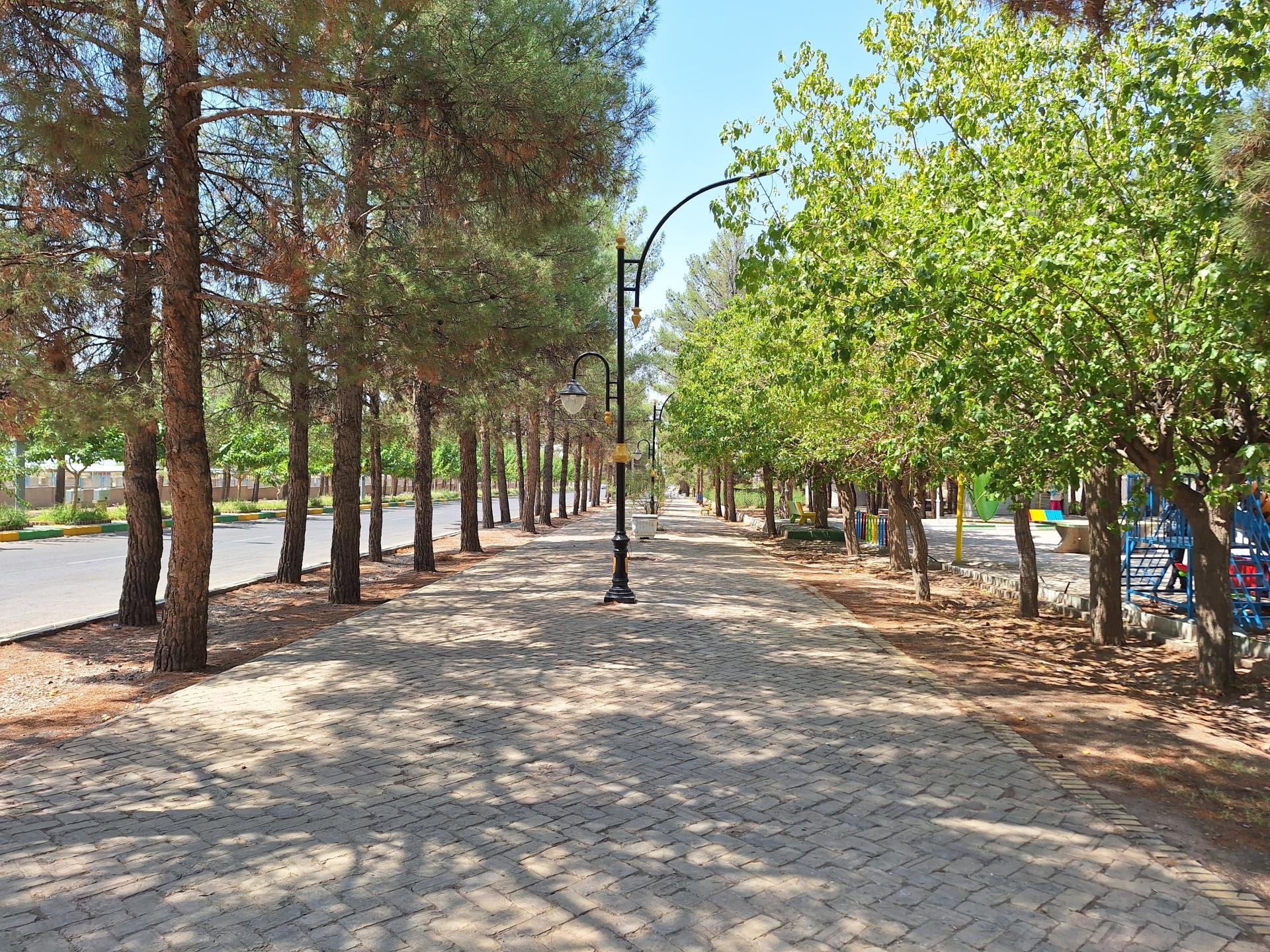 عکس پارک پامچال