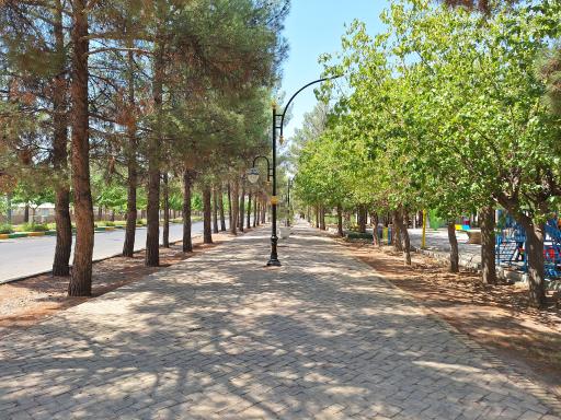 عکس پارک پامچال