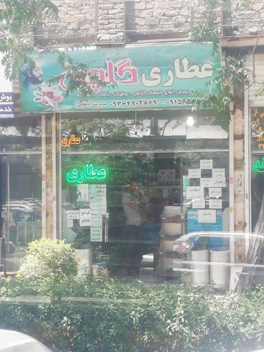 عکس عطاری گلچین