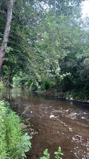 عکس پارک گوراب زرمیخ