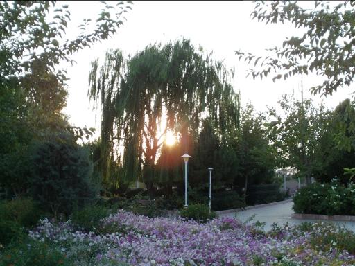 عکس پارک پامچال