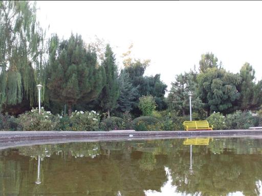 عکس پارک پامچال