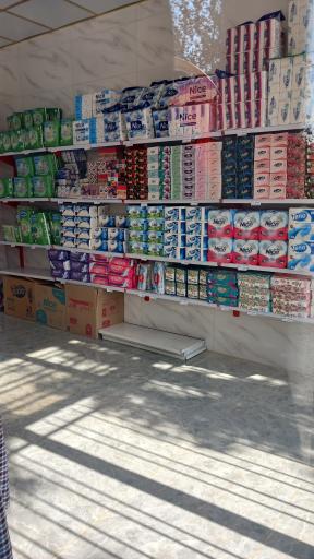 شوینده بهداشتی ولیعصر (عج)