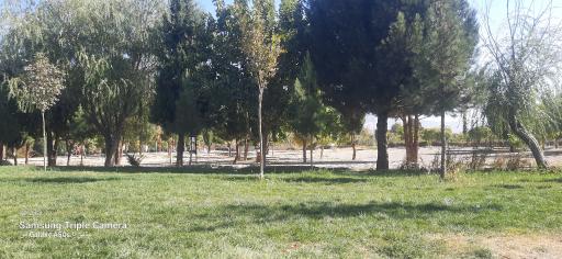 عکس پارک قصر بهرام(دریاچه)