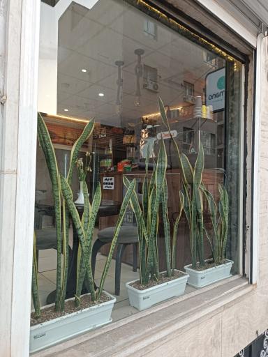 عکس کافه صبحانه کورتادو