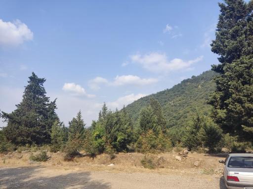 عکس مجموعه اقامتی اطلس گل