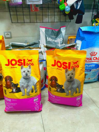 عکس پت شاپ باتلاق