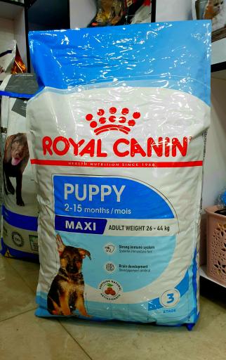 عکس پت شاپ باتلاق