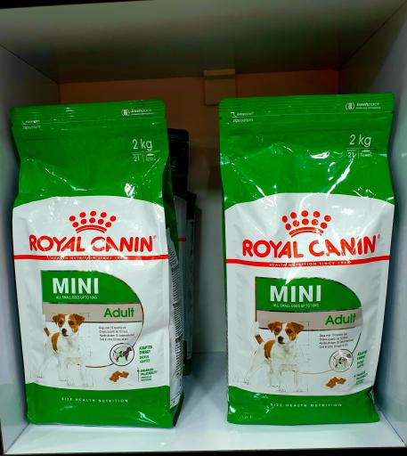 عکس پت شاپ باتلاق