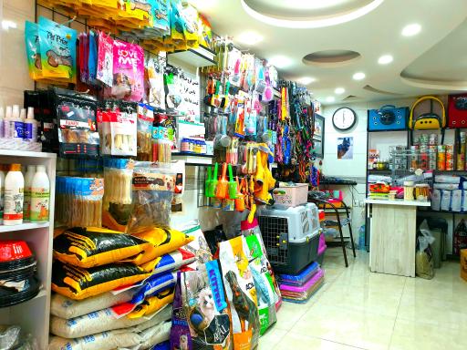 عکس پت شاپ باتلاق