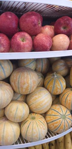 عکس کافه بستنی لوتوس