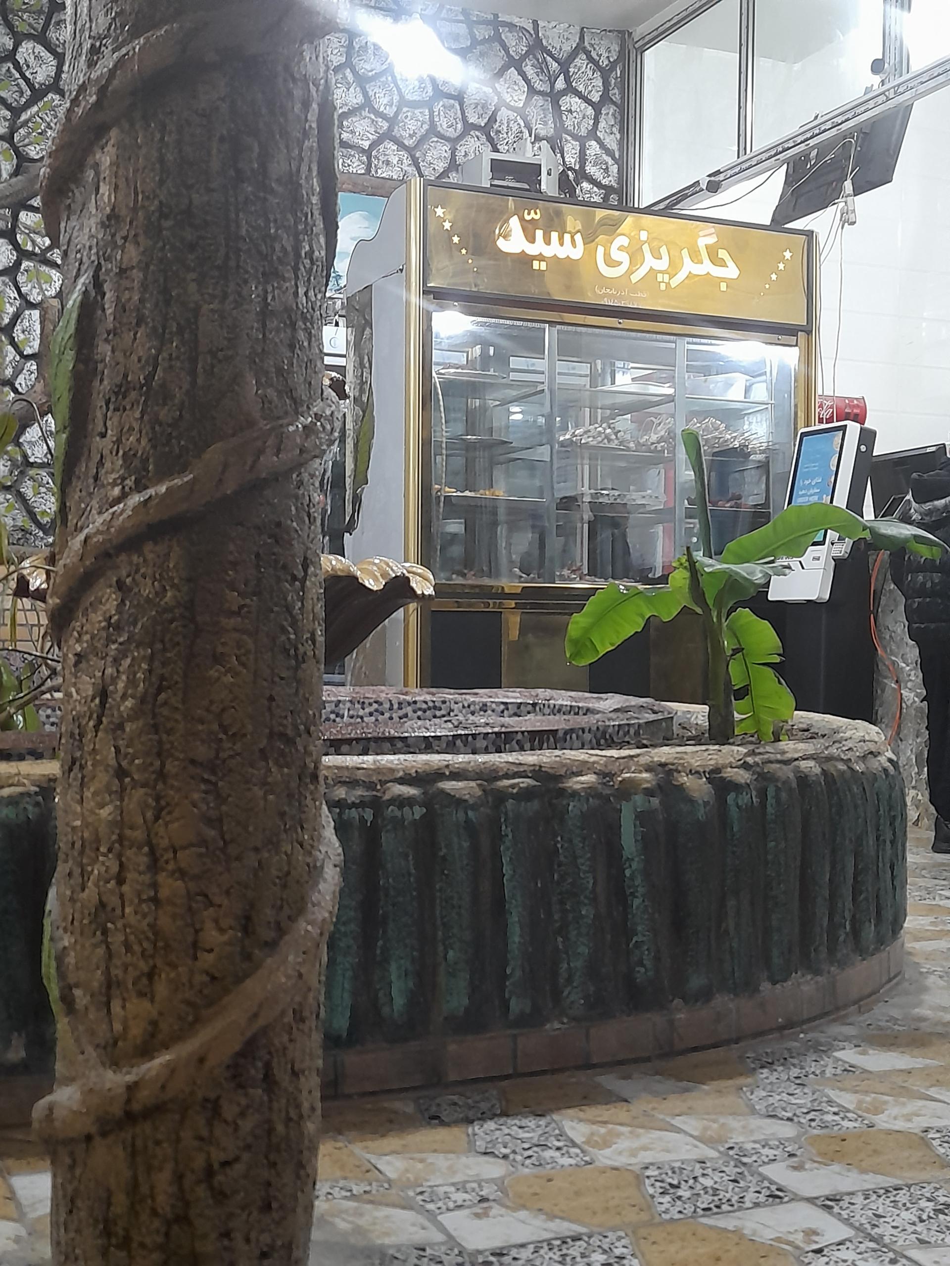 عکس جگرکی سید