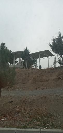 عکس سیاه کلان