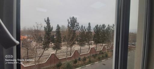 عکس سیاه کلان