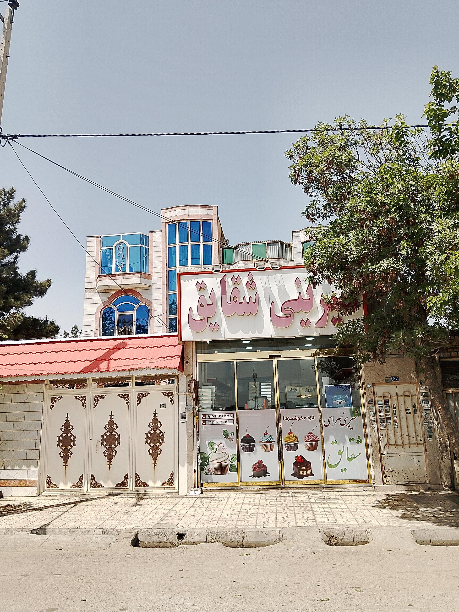 عکس شیرینی شقایق