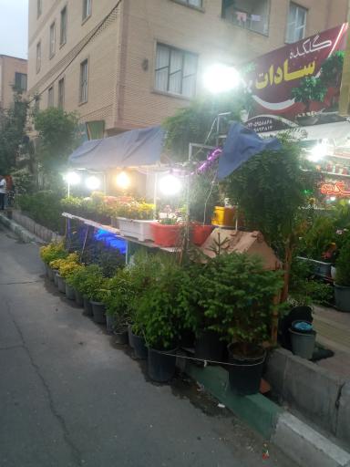 عکس گلکده سادات