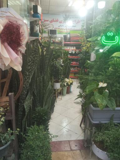 عکس گلکده سادات