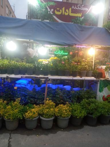 عکس گلکده سادات