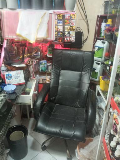 عکس گلکده سادات