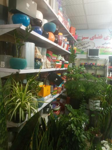 عکس گلکده سادات