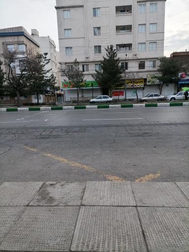 عکس  ابتدای شاهد