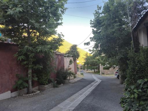 عکس سیاه کلان