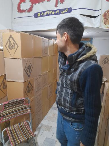 عکس پخش تخم مرغ کمی