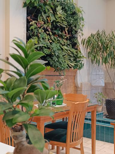 عکس حلیم نیشابوری گرینه 