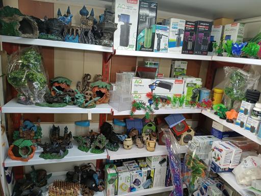 عکس آکواریوم فروشی محمدشهر