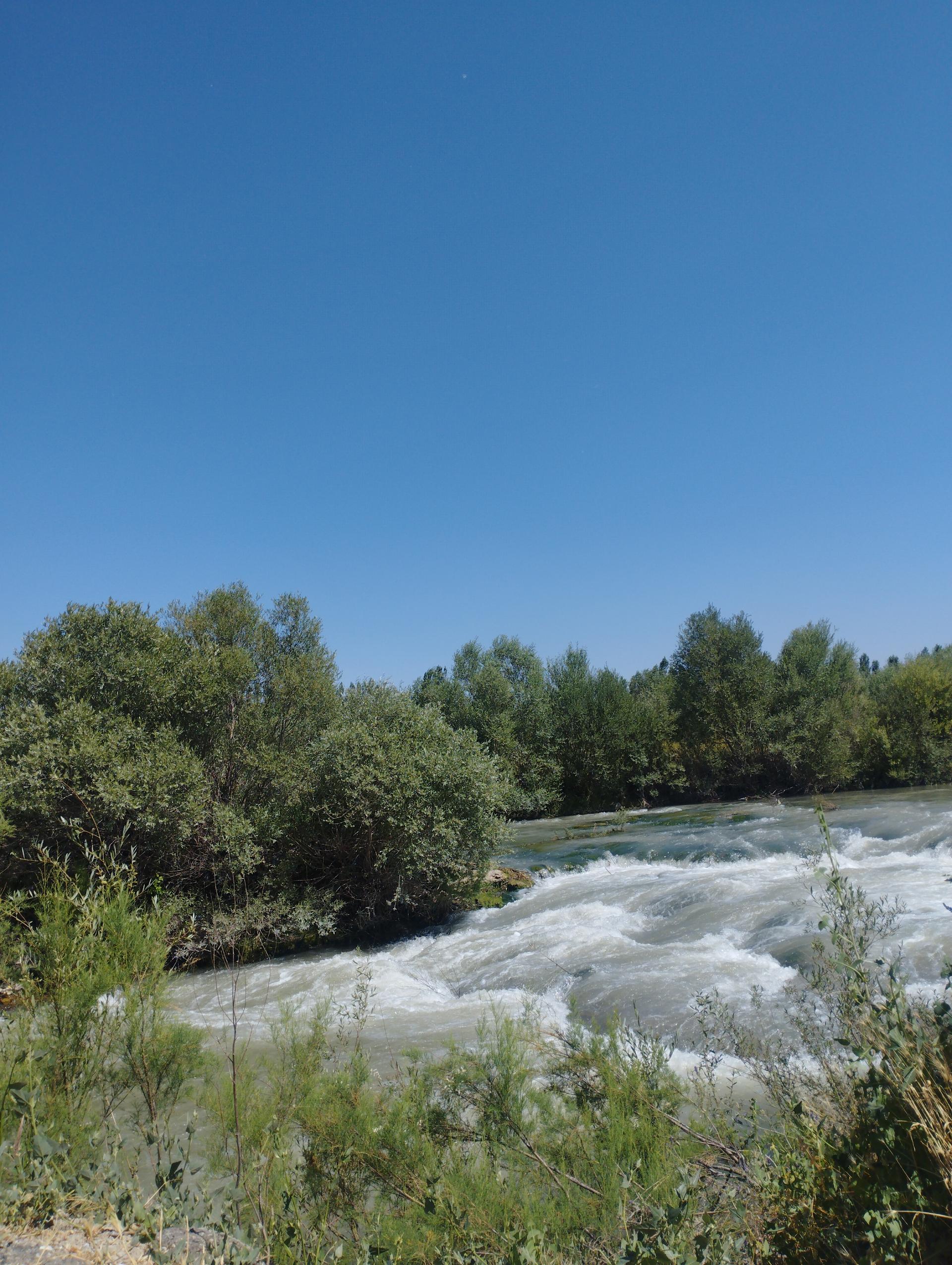 عکس رودخانه باراندوز