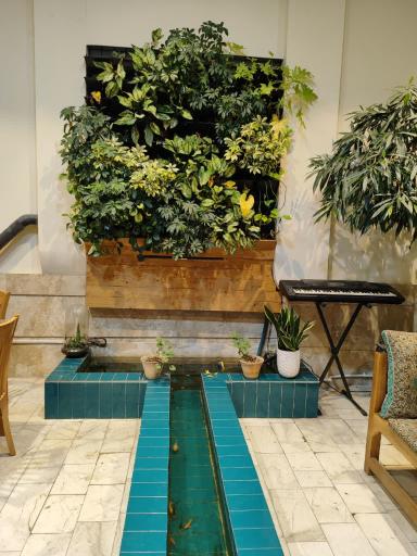 عکس حلیم نیشابوری گرینه 