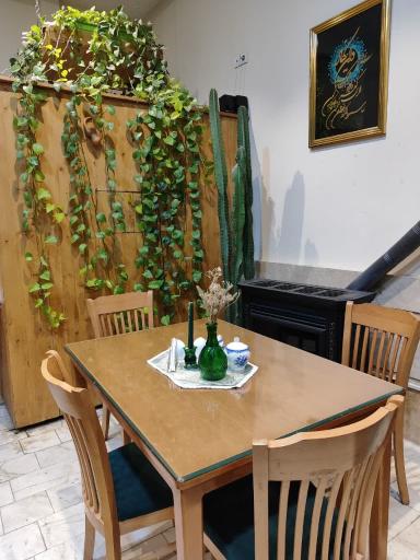 عکس حلیم نیشابوری گرینه 