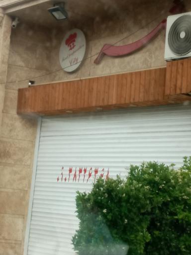 عکس تهیه غذا شهر