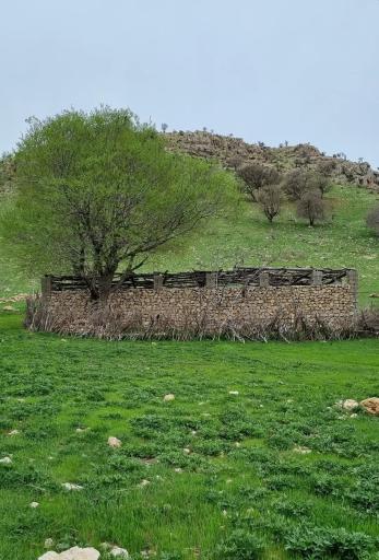 عکس دکه قهوه فروشی جلال