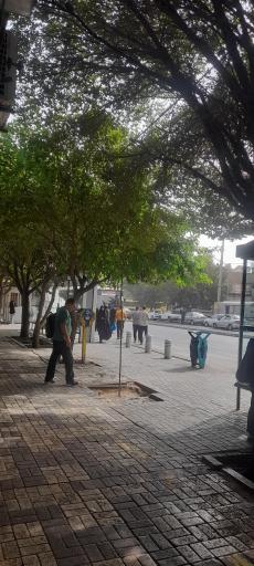 عکس  آرامگاه خواجه ربیع