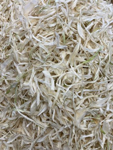 عکس عطاری ممقانی