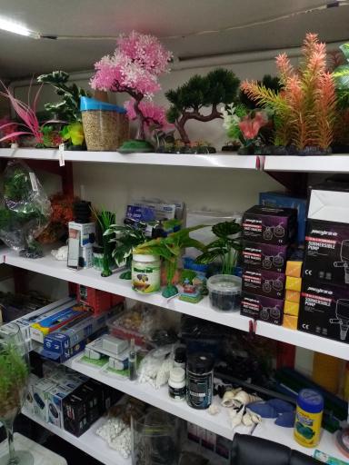 عکس آکواریوم فروشی محمدشهر