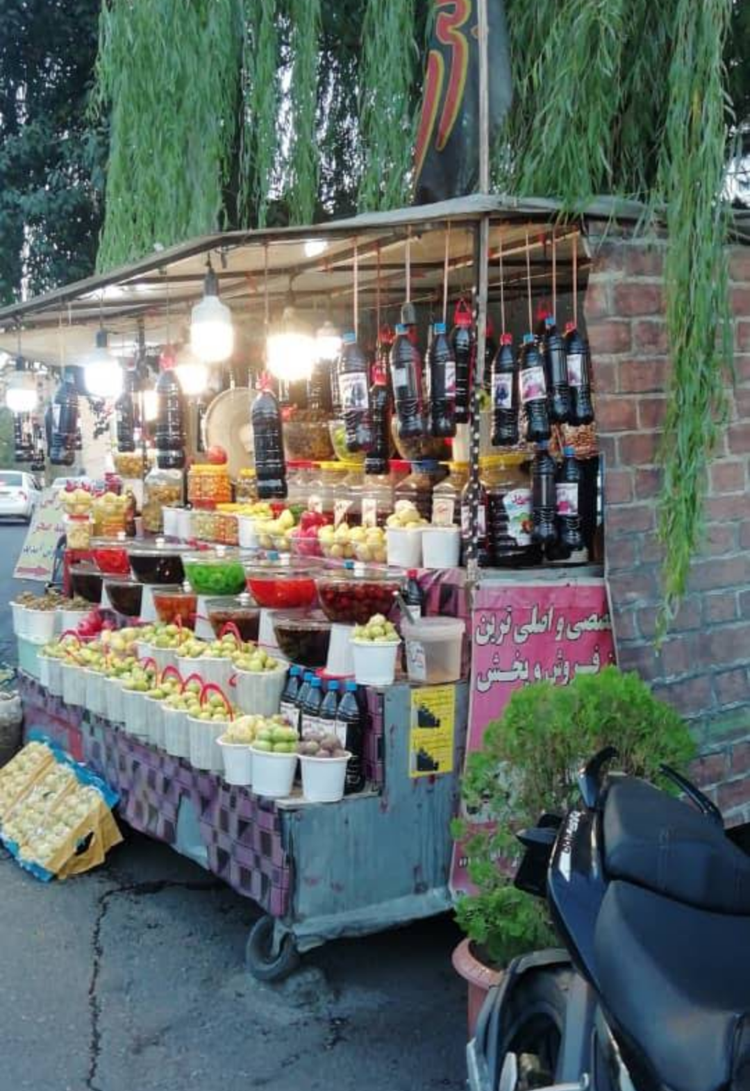 عکس میوه نوبرانه صالح