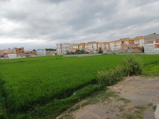 عکس مزرعه کشاورزی