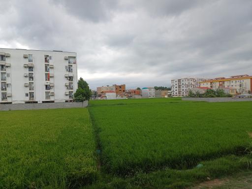 عکس مزرعه کشاورزی